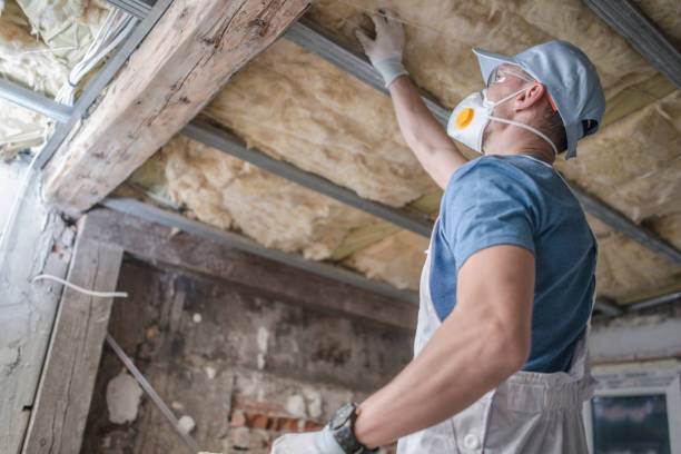 Best Insulation for Specific Applications in Bonneau Beach, SC